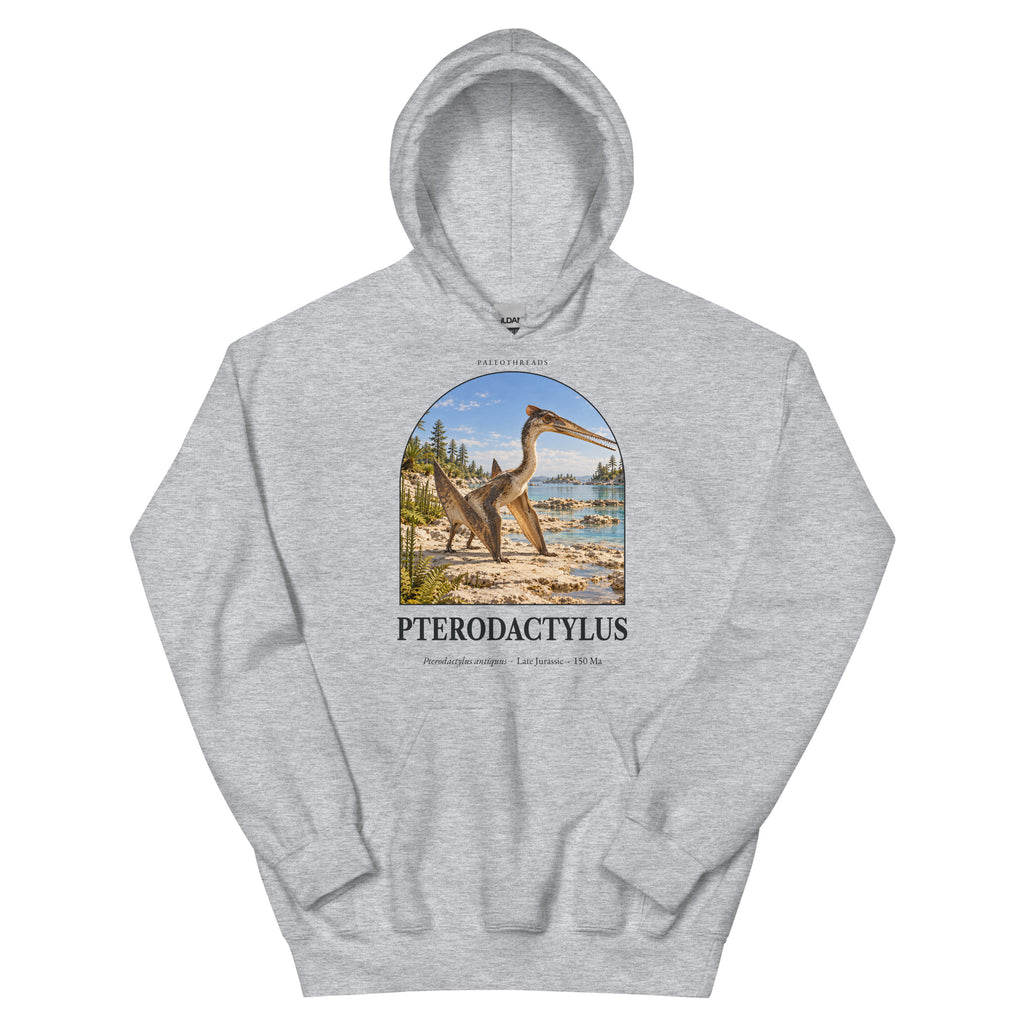 Pterodactylus hoodie in Sport Grey — Deep Time Atlas Plate 102, PaleoThreads