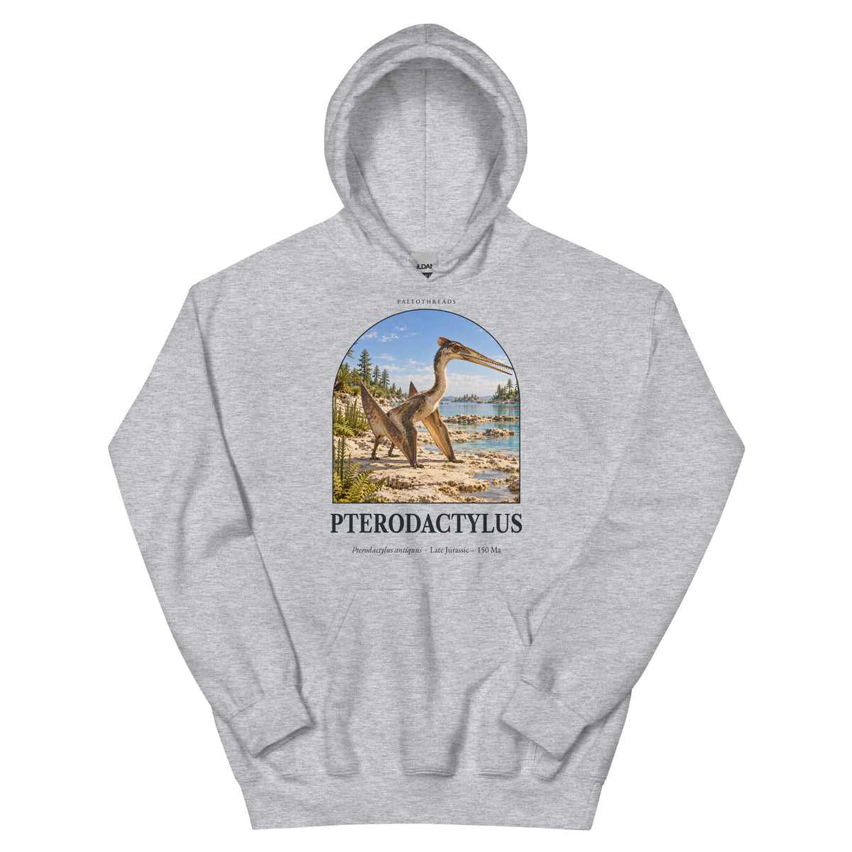 Pterodactylus hoodie in Sport Grey — Deep Time Atlas Plate 102, PaleoThreads