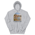 Pterodaustro hoodie in Sport Grey — Deep Time Atlas Plate 105, PaleoThreads