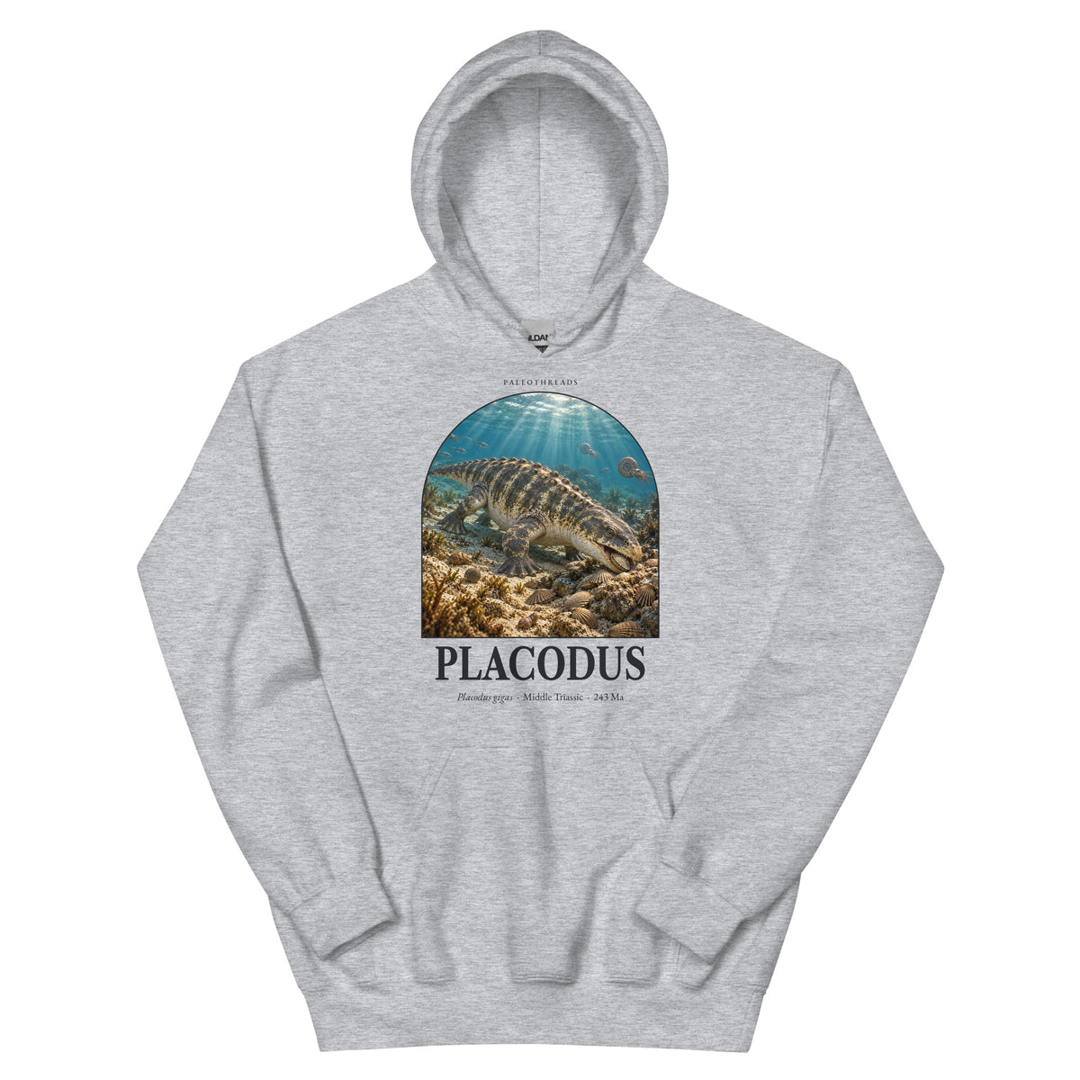 Placodus hoodie in Sport Grey — Deep Time Atlas Plate 115, PaleoThreads