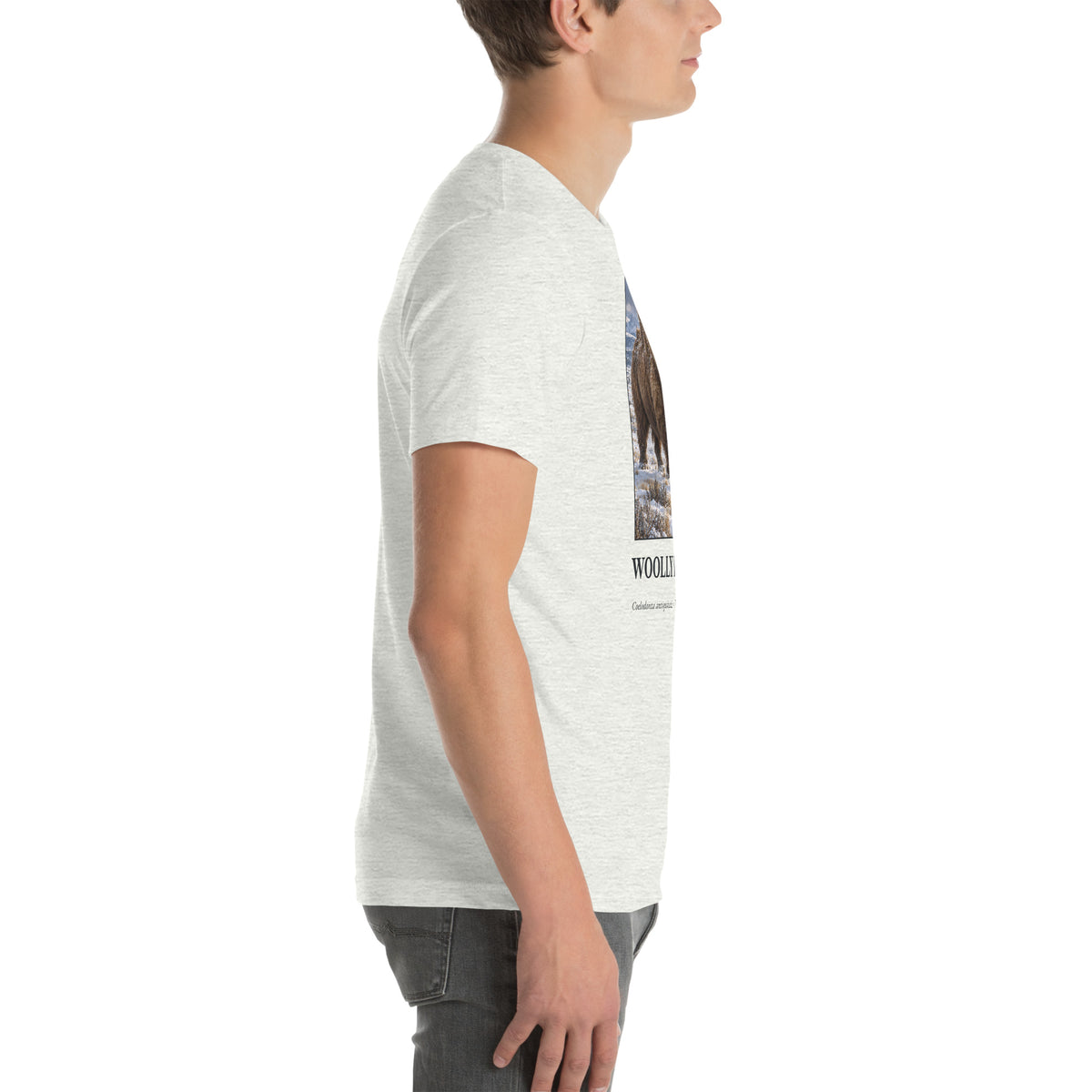 Woolly rhinoceros T-shirt in Ash, right view — Deep Time Atlas Plate 157, PaleoThreads