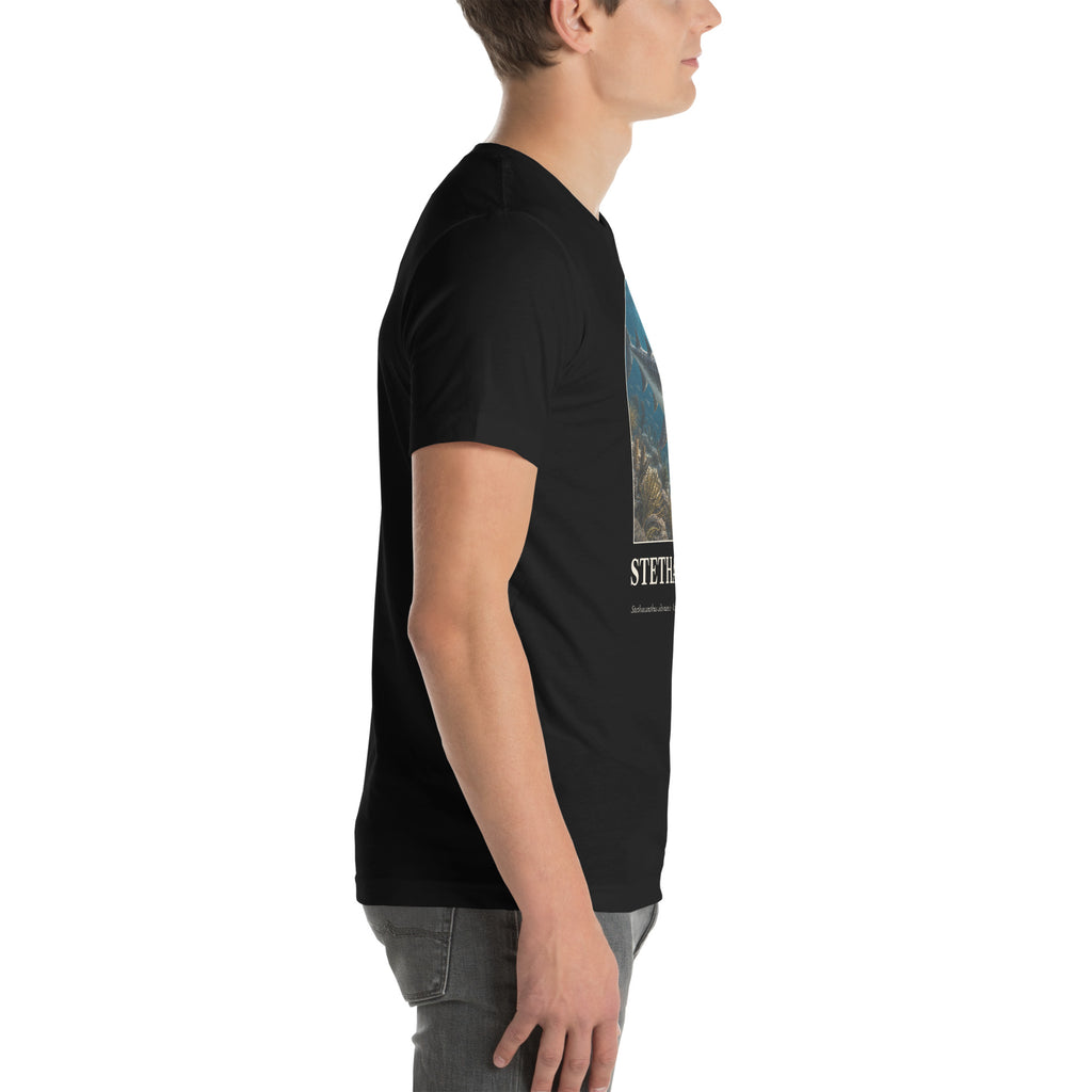 Stethacanthus T-shirt in Black, right view — Deep Time Atlas Plate 155, PaleoThreads