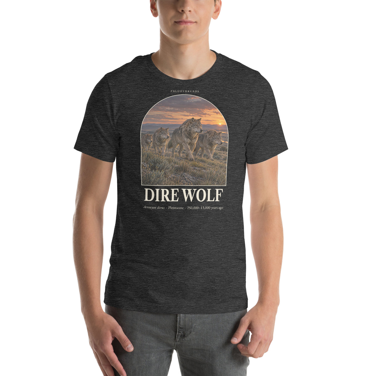 Dire wolf T-shirt in Dark Grey Heather — Deep Time Atlas Plate 160, PaleoThreads