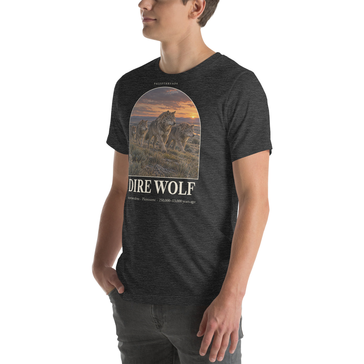 Dire wolf T-shirt in Dark Grey Heather, left front view — Deep Time Atlas Plate 160, PaleoThreads