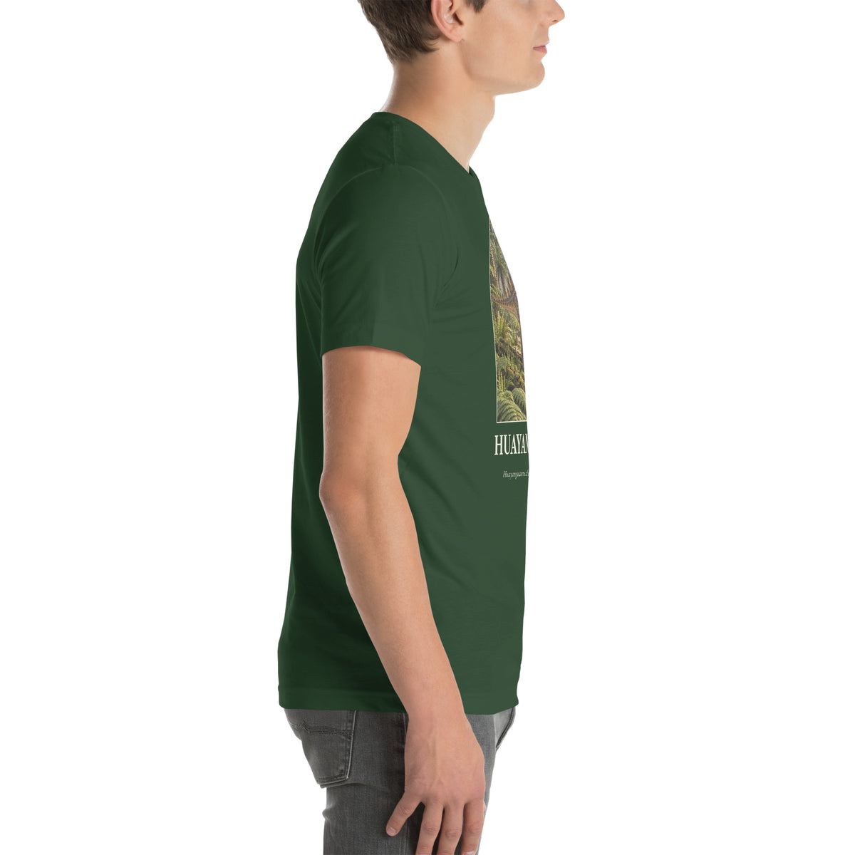 Huayangosaurus T-shirt in Forest, right view — Deep Time Atlas Plate 088, PaleoThreads