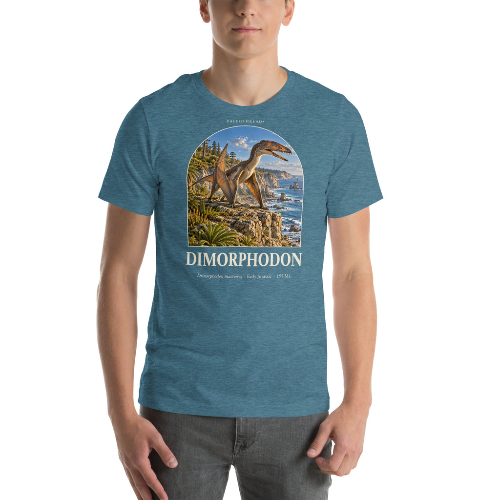 Dimorphodon T-shirt in Heather Deep Teal — Deep Time Atlas Plate 099, PaleoThreads
