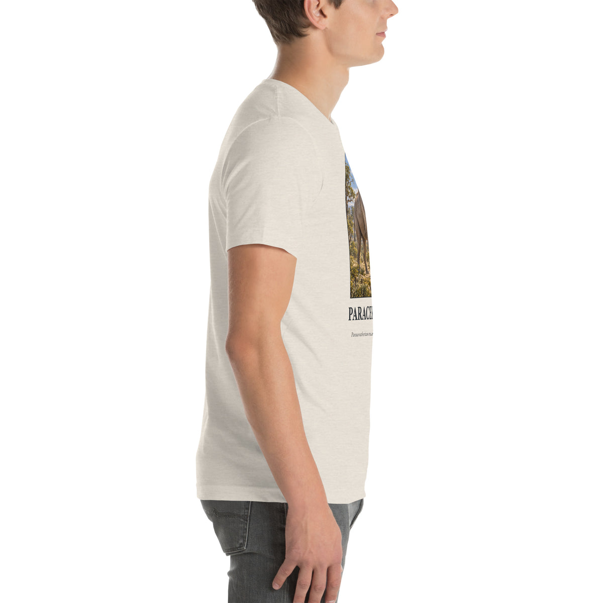 Paraceratherium T-shirt in Heather Dust, right view — Deep Time Atlas Plate 163, PaleoThreads