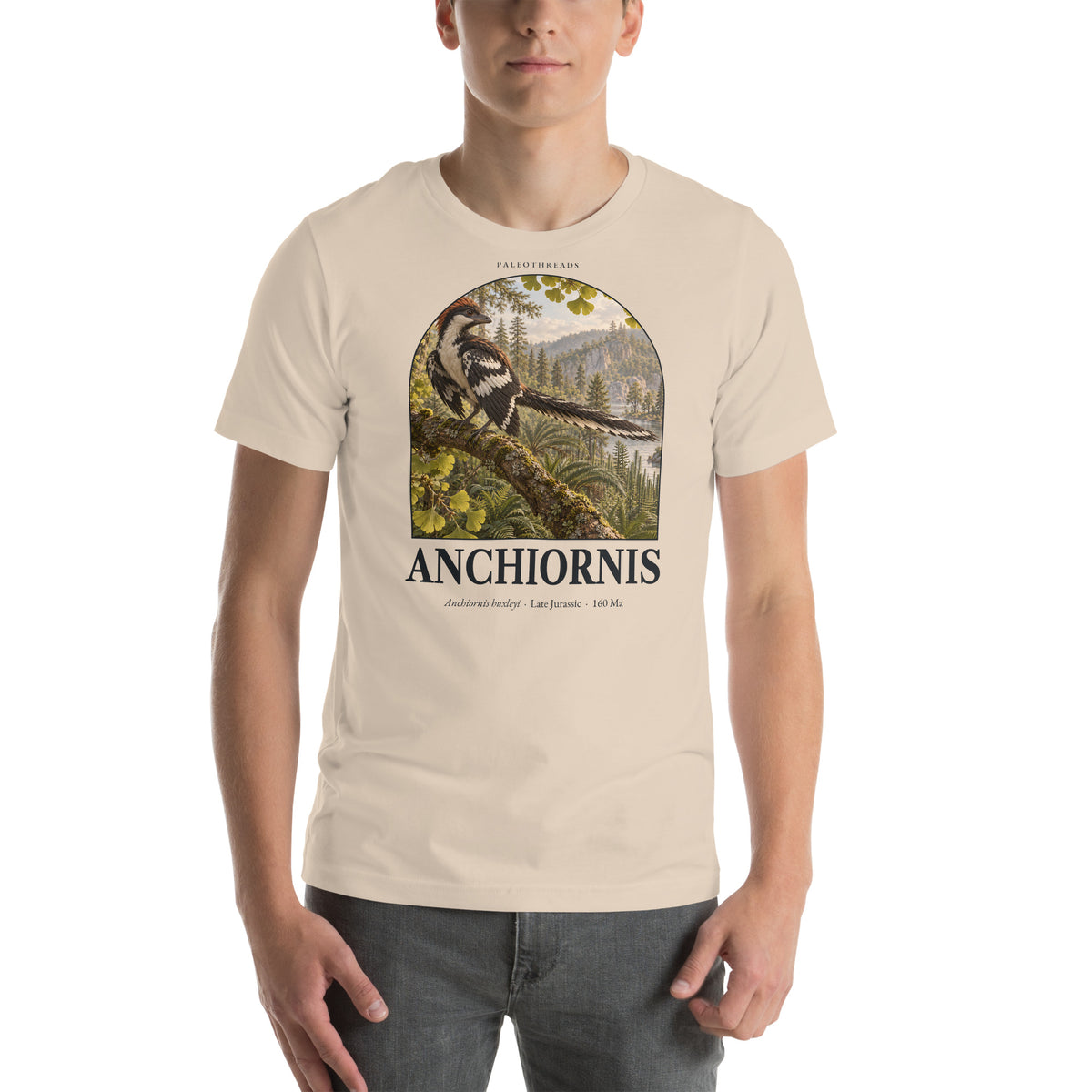 Anchiornis T-shirt in Soft Cream — Deep Time Atlas Plate 041, PaleoThreads