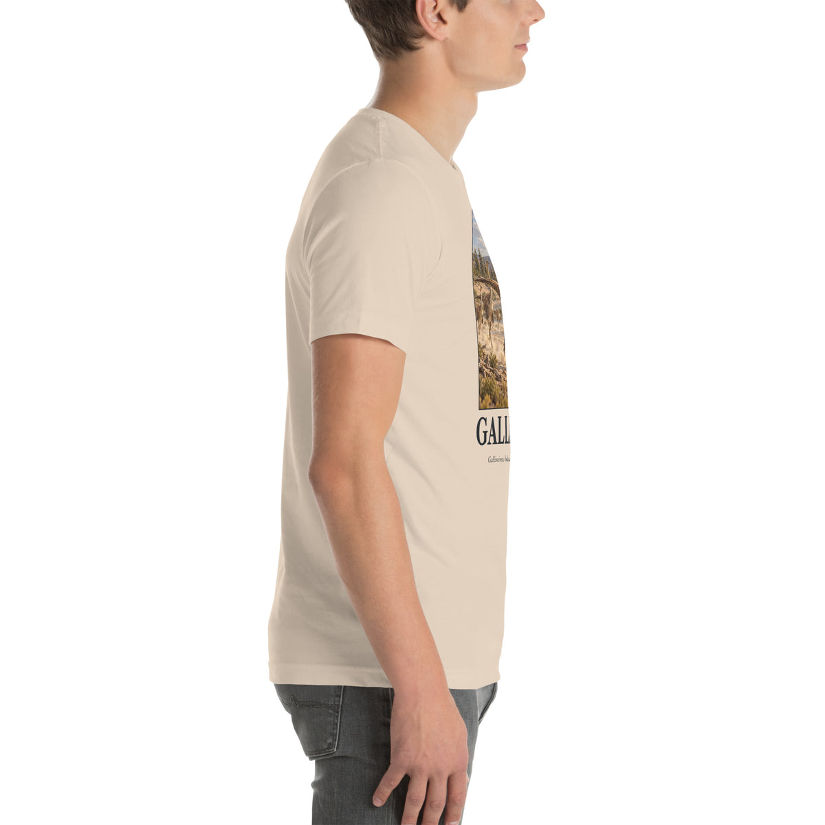Gallimimus T-shirt in Soft Cream, right view — Deep Time Atlas Plate 029, PaleoThreads