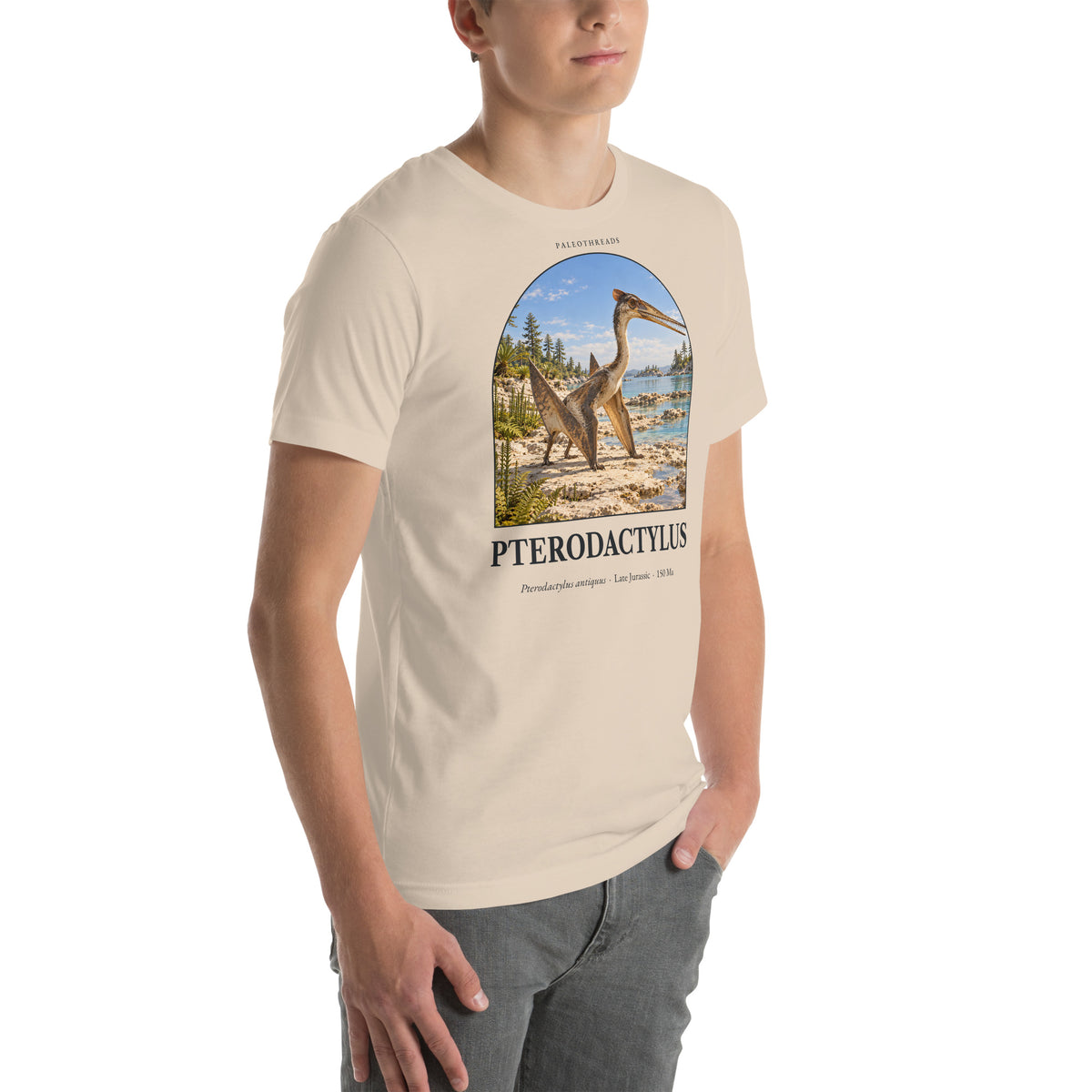 Pterodactylus T-shirt in Soft Cream, right front view — Deep Time Atlas Plate 102, PaleoThreads
